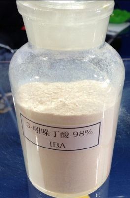 98% 3-吲哚丁酸（IBA）原藥