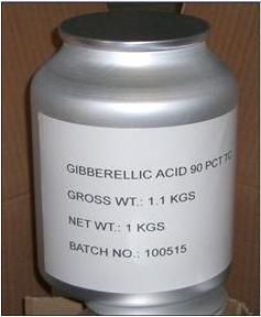 1Kg/ 聽